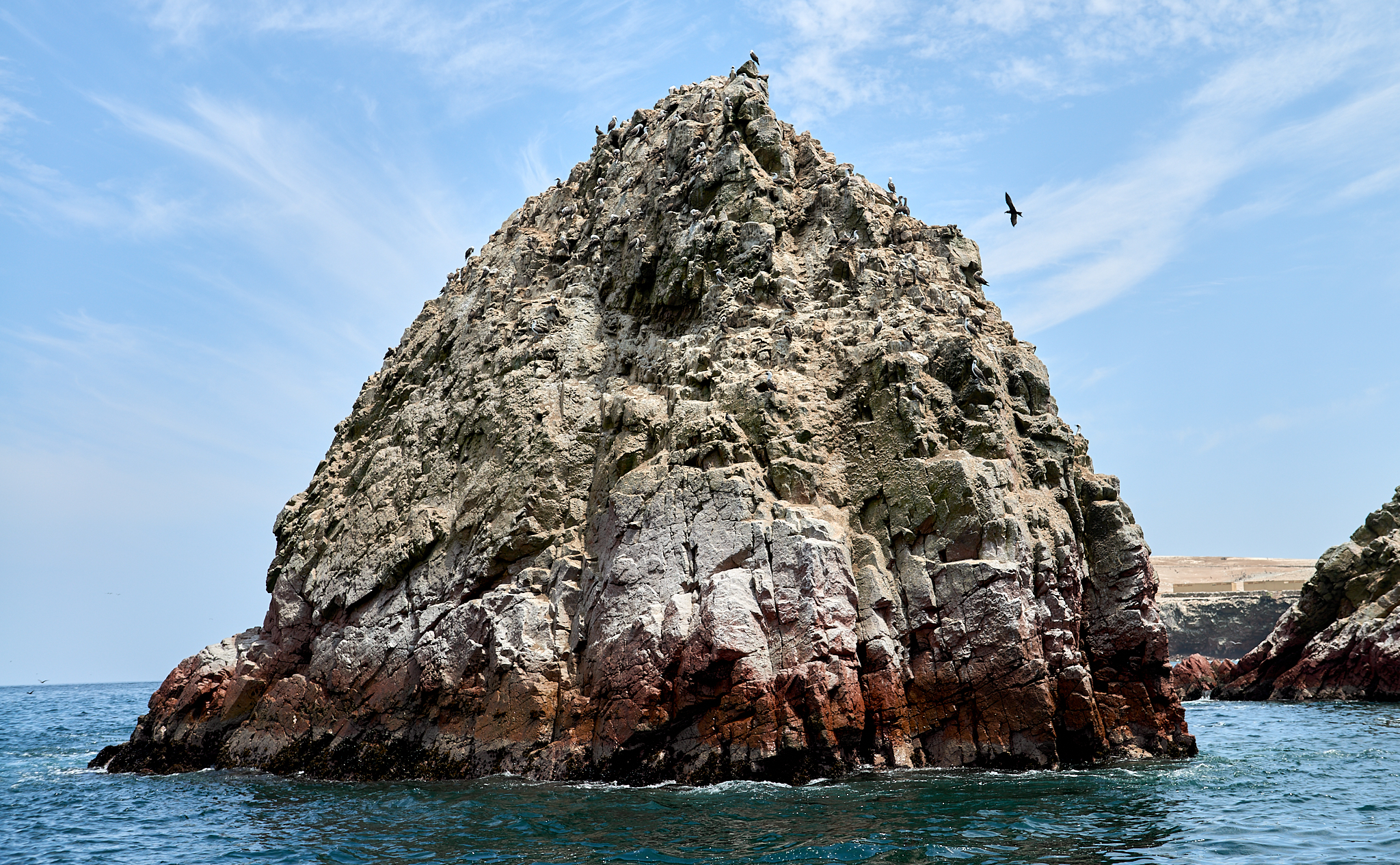 20200304 160 [페루] 바예스타섬